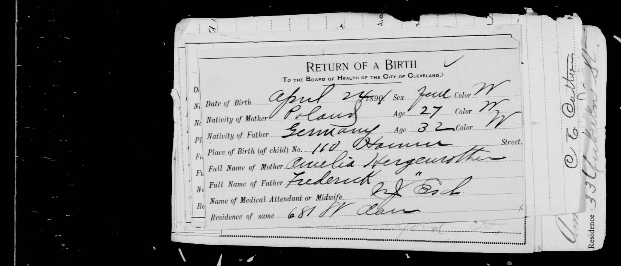 Anna's Birth Record