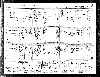 US Census, 1940